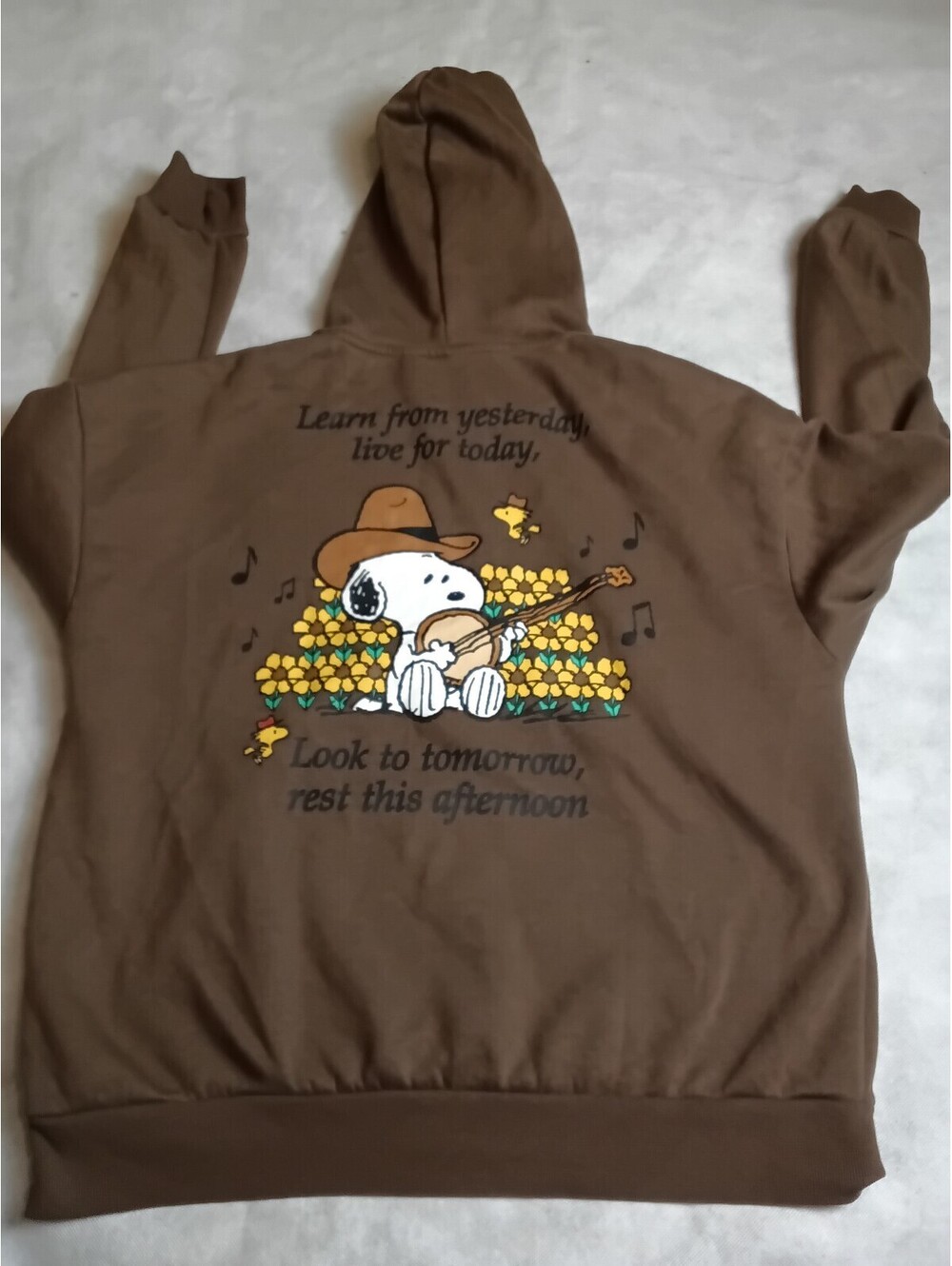 Peanuts Snoopy Woodstock Hoodie Sweatshirt Size Large Live for Today